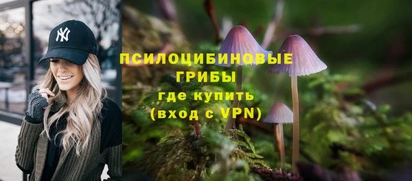 ALPHA-PVP Каменногорск